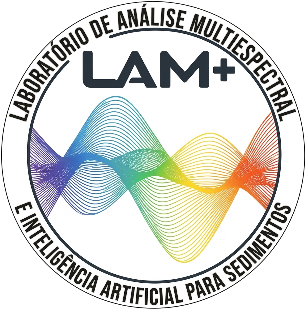 Logo LAM+